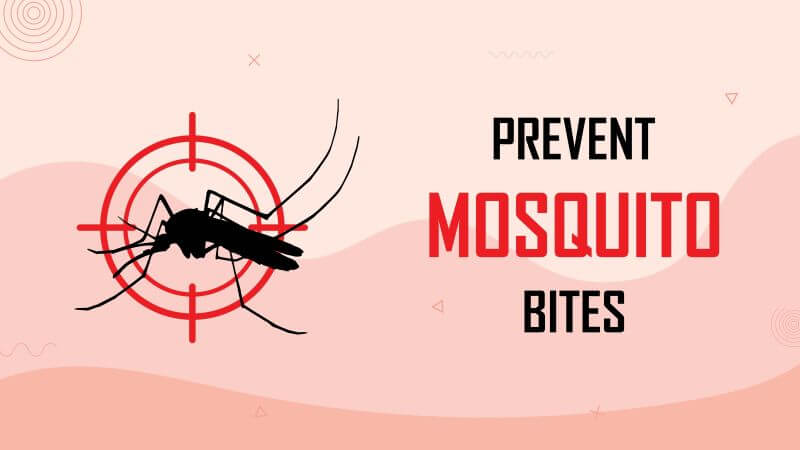 prevent mosquito bites dengue