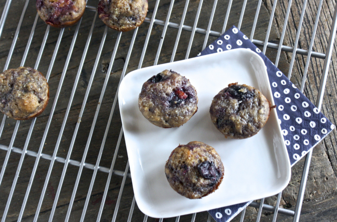 Blueberry muffin on a plate & wire rack