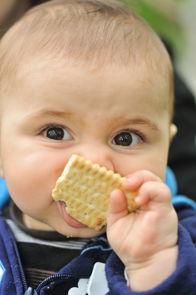 bayi makan biskut