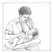 Cara Menyusukan Bayi Baru Lahir cradle