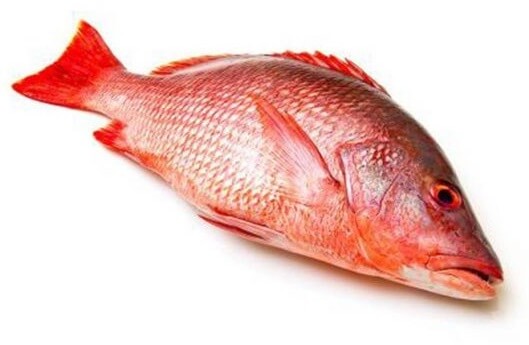 ikan merah