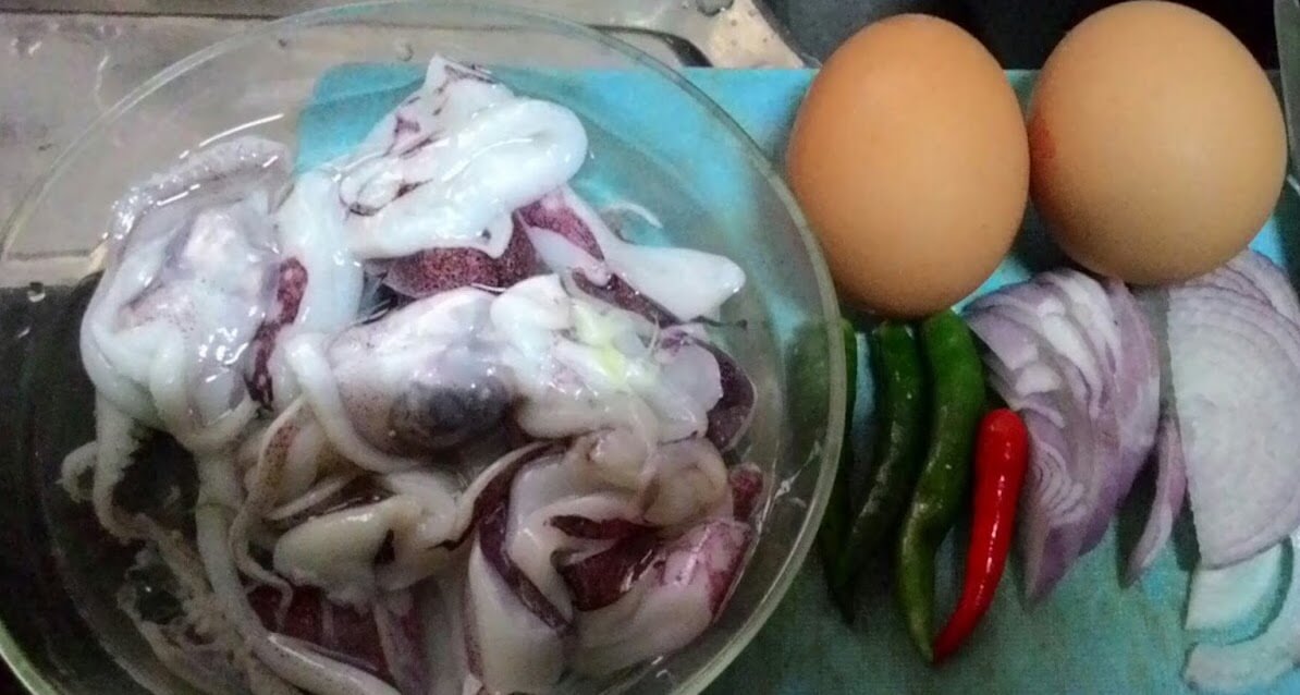 bahan bahan untuk resepi sotong telur