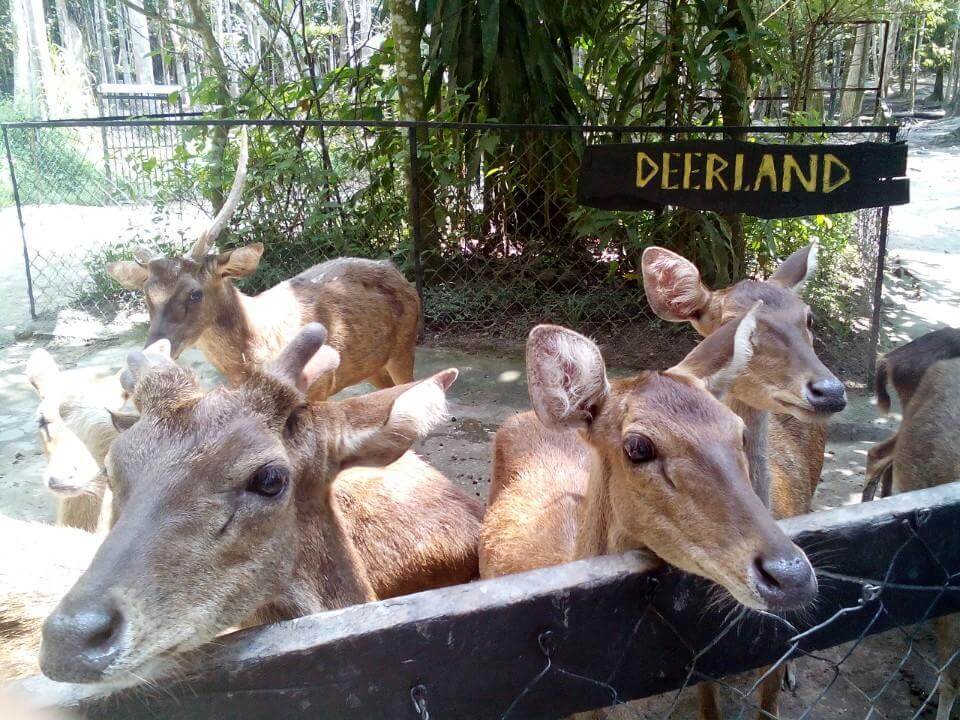 Deerland Park Lancang Pahang