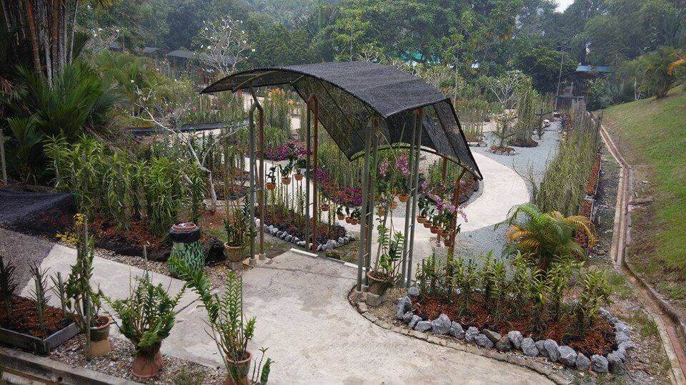 Taman Orkid Sarawak
