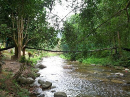 Hutan Rekreasi Sungai Congkak