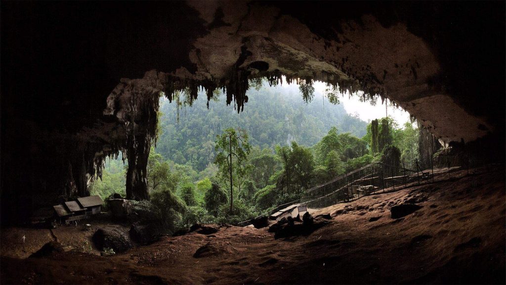 Taman Negara Niah