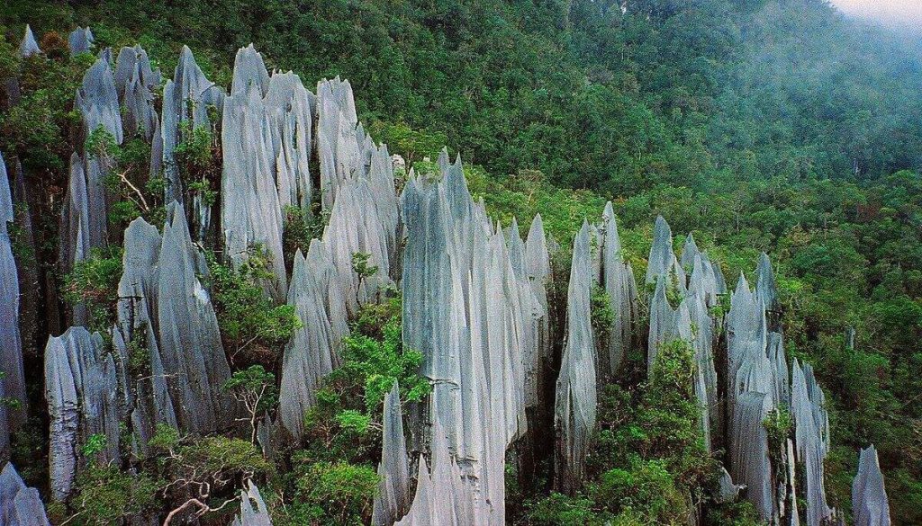 Taman Negara Mulu