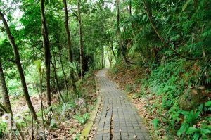 Hutan Lipur Bukit Soga Perdana