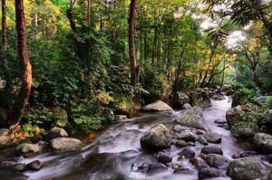 Hutan Lipur Ulu Kenas