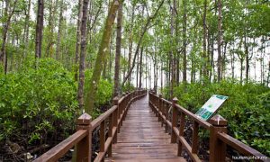 Taman Negara Tanjung Piai