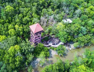 Taman Negara Pulau Kukup