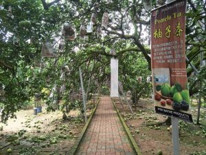 Kebun Limau Tambun GOChin