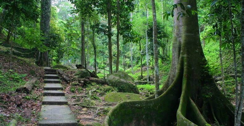 Taman Rimba Bukit Mertajam