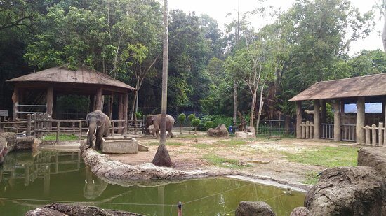 Zoo Kemaman