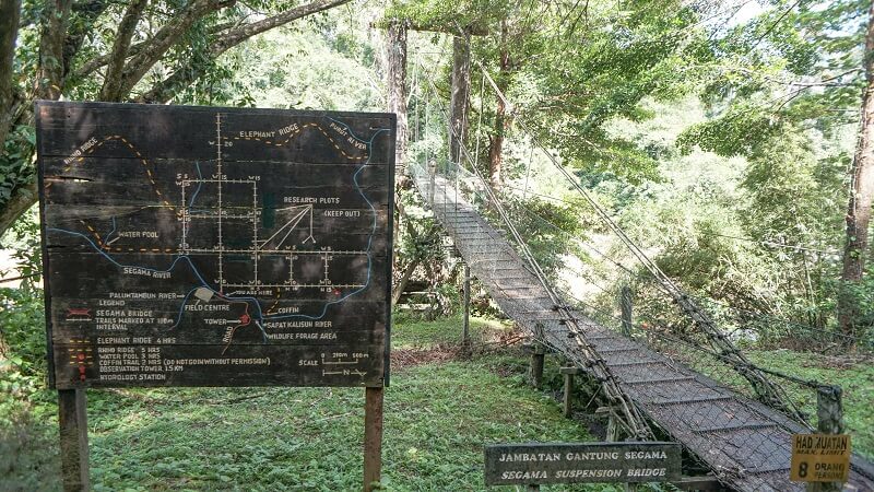 Kawasan Pemuliharaan Lembah Danum (Danum Valley Conservation Area)