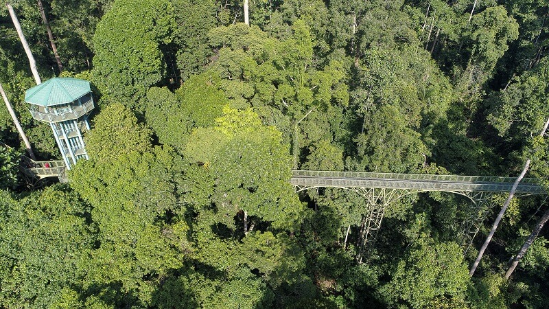 Rainforest Discovery Centre