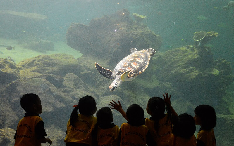 Muzium Marin Sabah (Marine Museum Sabah)