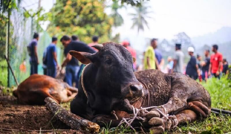 sejarah hari raya haji 1