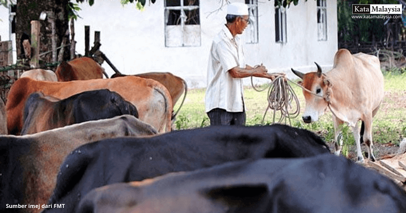 tradisi hari raya haji 1