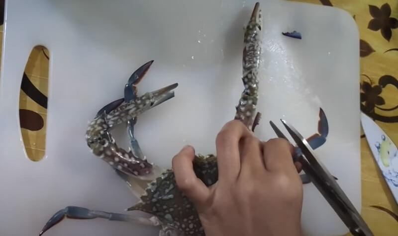 potong hujung kaki ketam