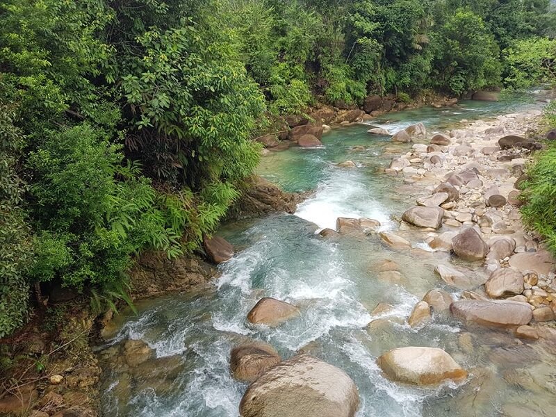 Lata Payung Setiu