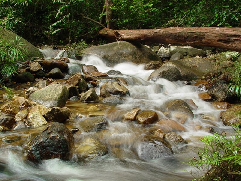 taman negara gunung ledang