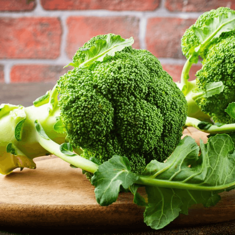 brokoli untuk ibu berpantang