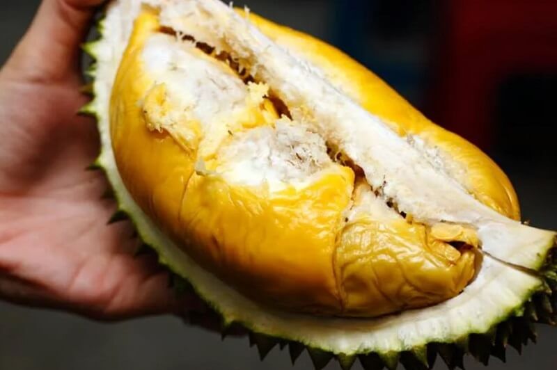 durian musang king