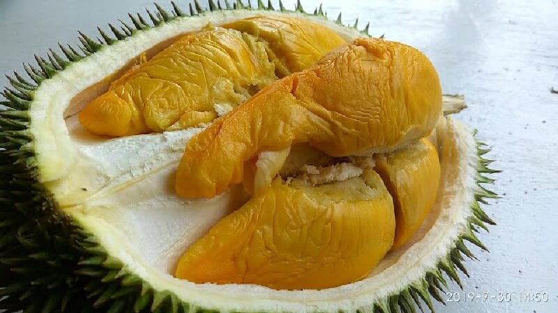 durian ioi