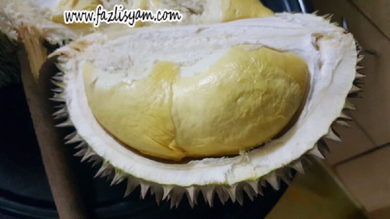 Durian-Tangkai-Panjang