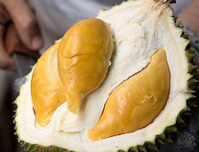 durian D13