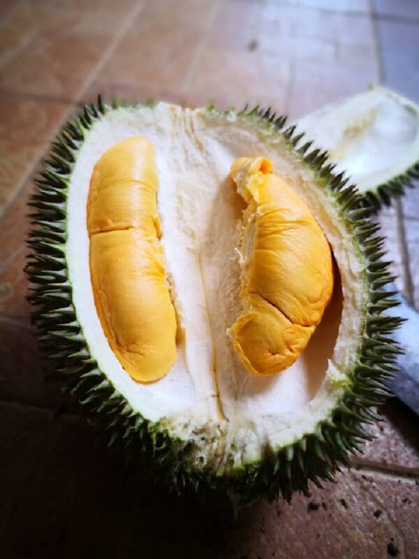 durian hjh hasmah