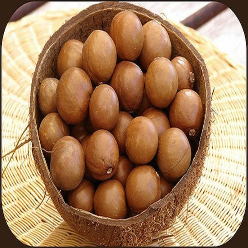 Kacang Macadamia