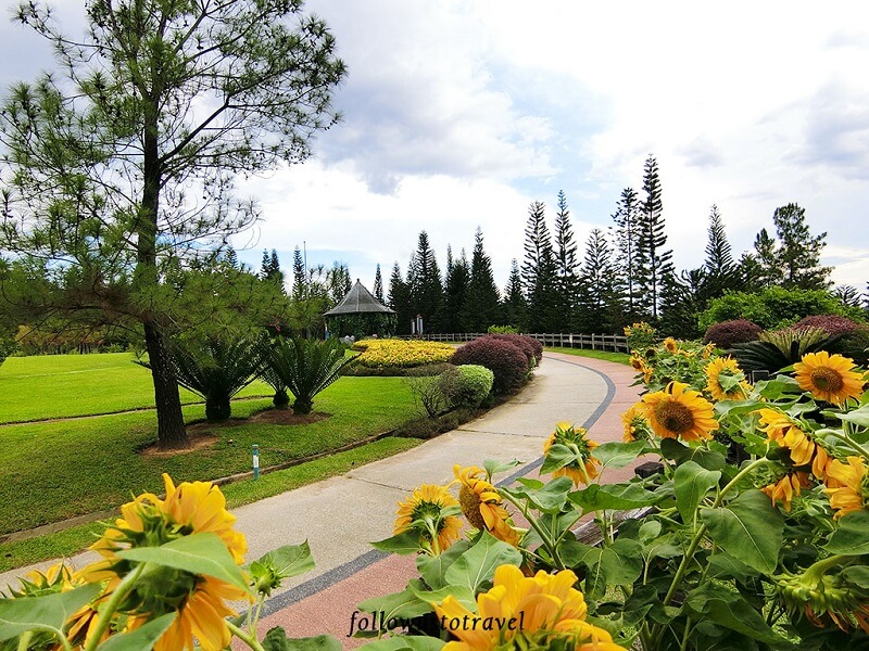 taman-saujana-hijau