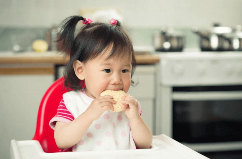 senarai biskut bayi terbaik