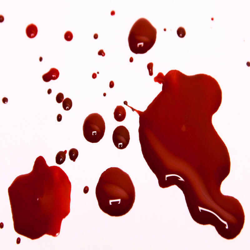 darah kotor