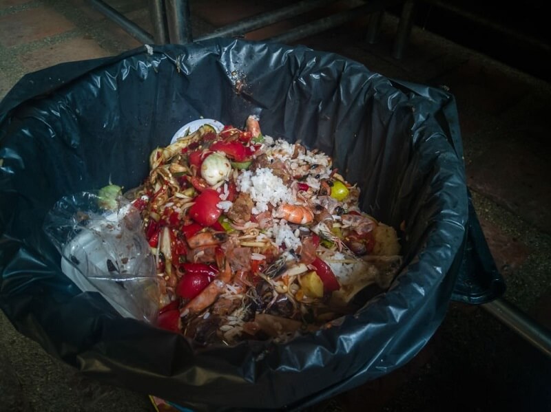 cara halau cicak bersih rumah