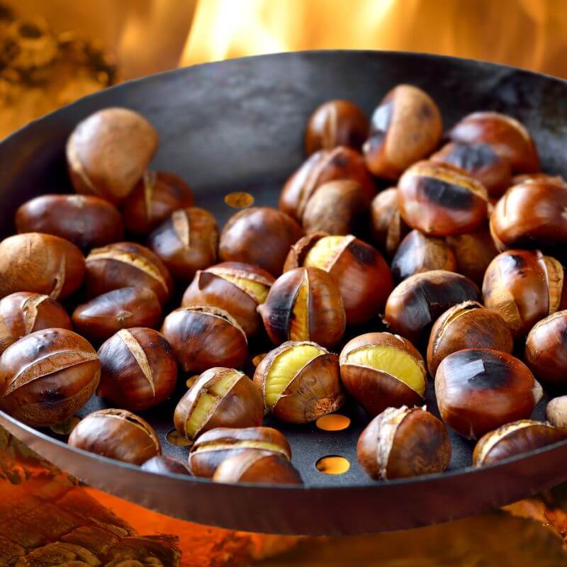 Kacang Untuk Ibu Hamil - chestnut