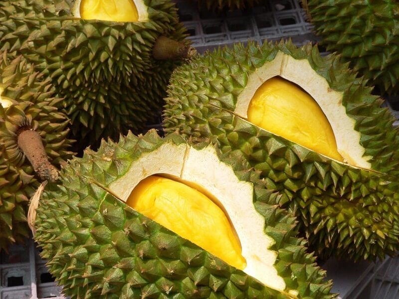 cara pilih durian tgk duri