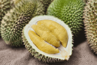 cara pilih durian