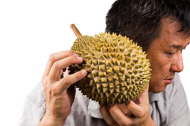 durian goncang buah