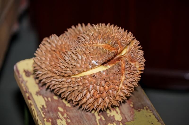 durian segar