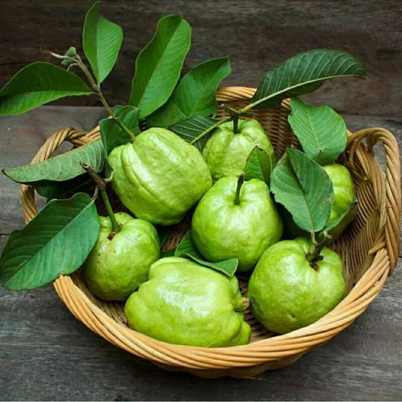 Buah Jambu Batu