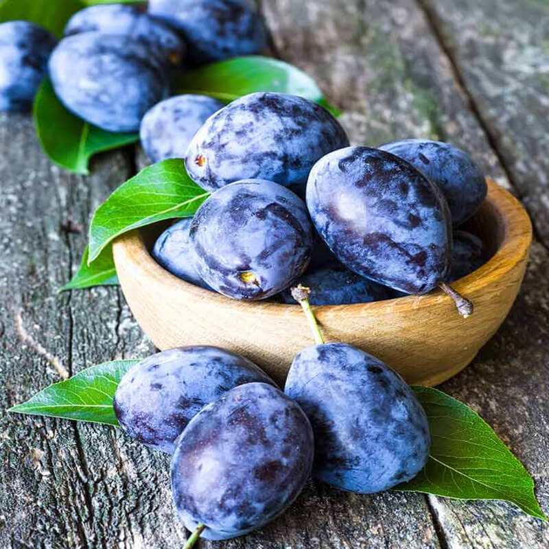 Buah Plum Untuk Cegah Komplikasi Semasa Hamil