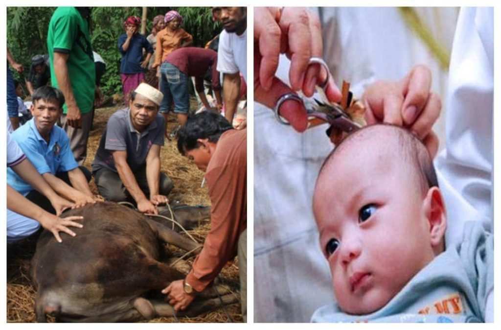 aqiqah anak lelaki