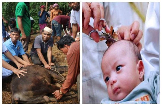 aqiqah anak lelaki