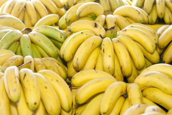 jenis pisang