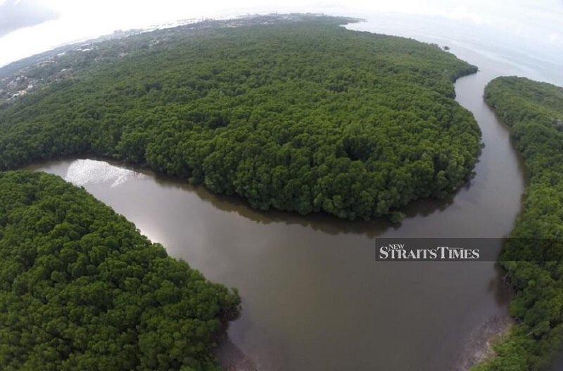 The Kina Benuwa Mangrove Ecology Park labuan