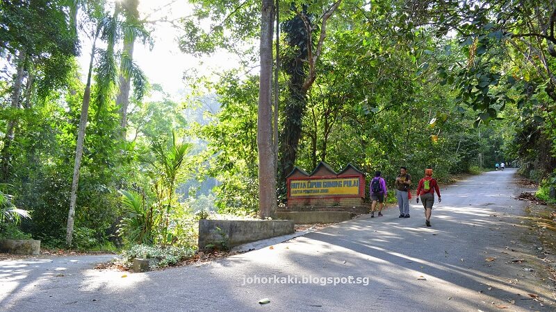 Hutan Lipur Gunung Pulai