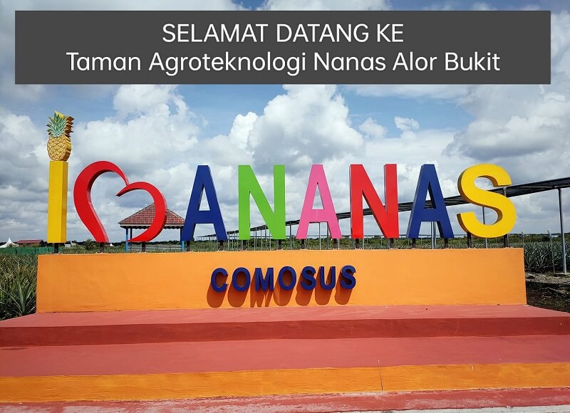 Taman Agroteknologi Nanas Alor Bukit